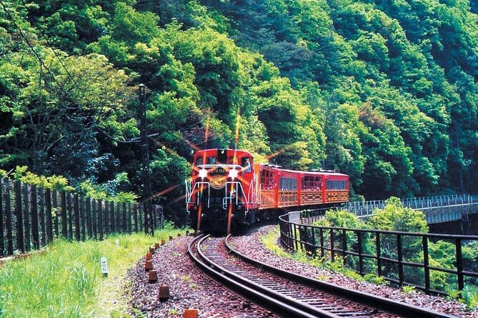 Sagano Romantic Train & Arashiyama, Kiyomizudera, Fushimi Inari Taisha Day Tour - The guide and the rhythm of a large group