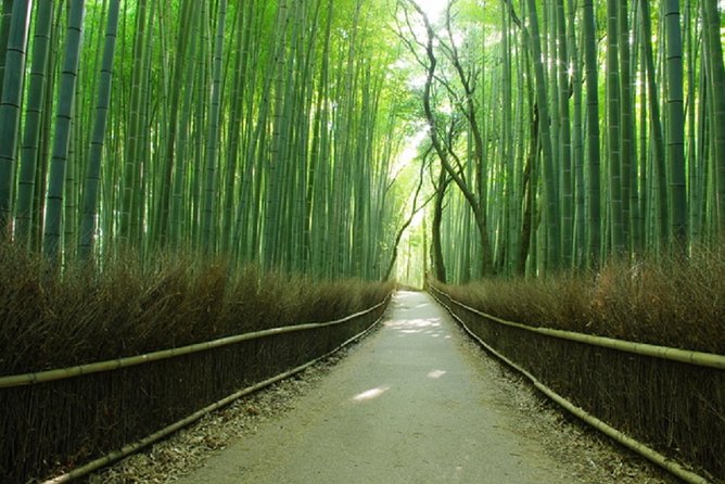 Sagano Romantic Train & Arashiyama, Kiyomizudera, Fushimi Inari Taisha Day Tour - Starting at Fushimi Inari and its endless gates