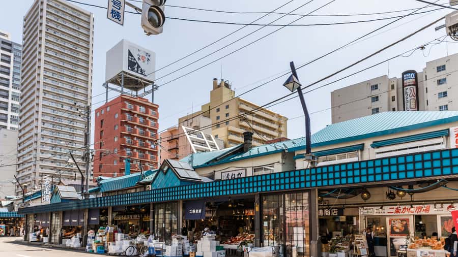 Sapporo: Custom Highlights and Hidden Gems Tour with a Local - Odori Park and the central Sapporo orientation