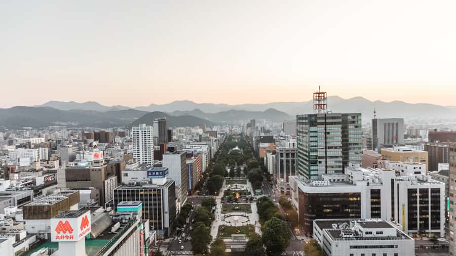 Sapporo: Custom Highlights and Hidden Gems Tour with a Local - Ramen Alley, seafood, and the practical pleasure of eating