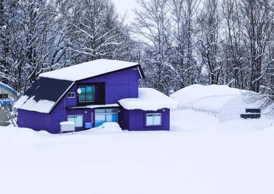 Sapporo: Furano Lavender & Biei Blue Pond Tour with Lunch - How much guiding should you expect?