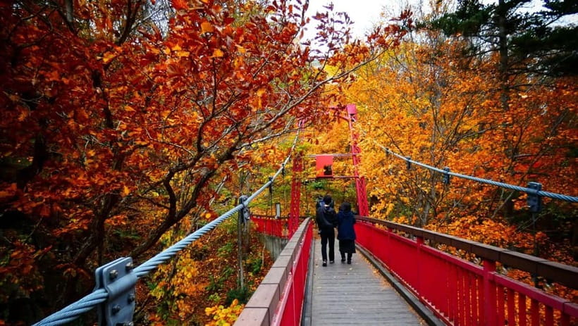 Sapporo: The Indigenous Ainu People & Jozankei walking tour - Why this day works so well