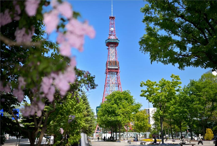 Sapporo TV Tower Admission Ticket - Seasonal flowers and changing views from Odori Park