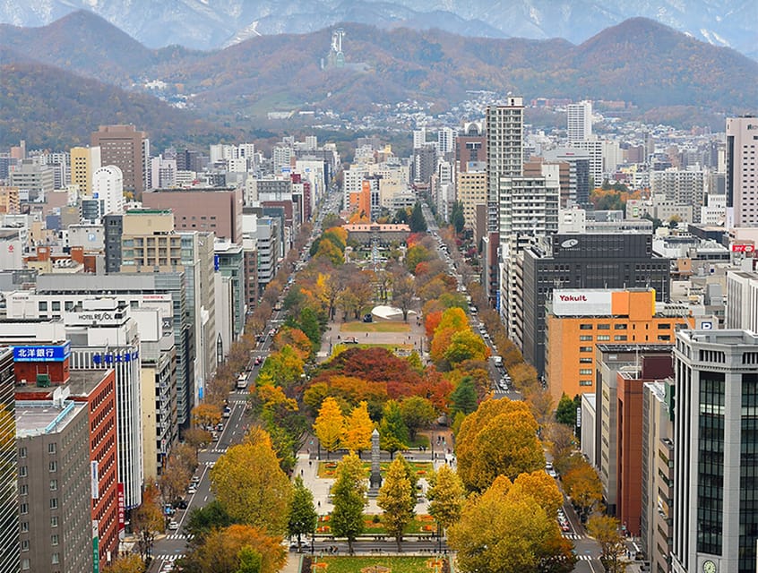 Sapporo TV Tower Admission Ticket - Getting the QR code and avoiding a preventable problem