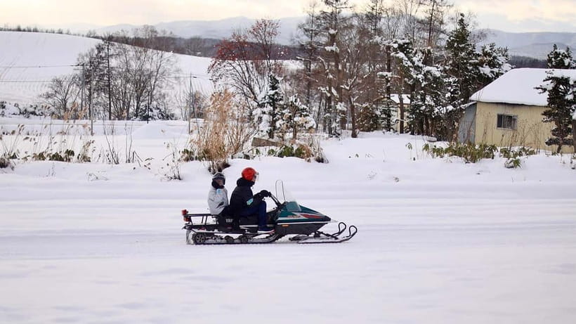 Sapporo Winter : Asahiyama Zoo (Penguin Fun & Snowmobile) - Shikisai-no-oka, snow fields, and the optional ride