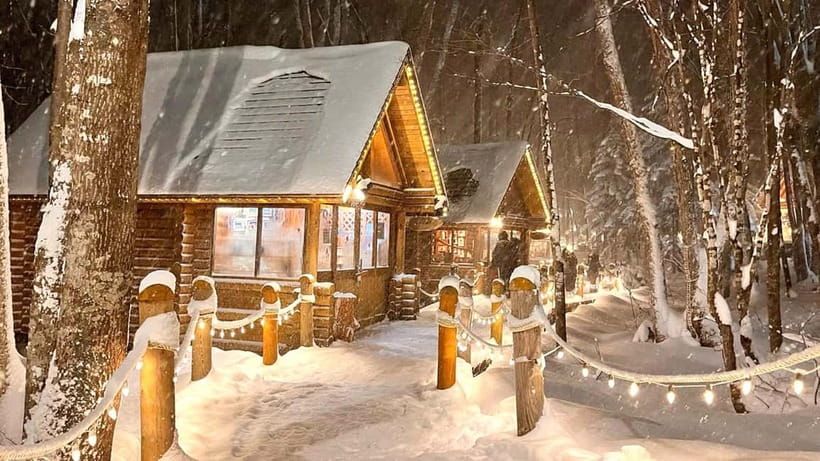 Sapporo Winter : Asahiyama Zoo (Penguin Fun & Snowmobile) - Asahiyama Zoo and the penguin walk