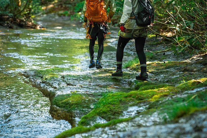 Sawanobori River Trekking Tour - Rain plans and cancellation rules
