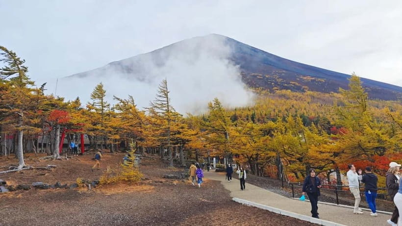 [Seasonal Limited] Mt. Fuji 5th Station &Hot Spring Day Tour - Shintaku-yama Asama Park and the classic Fuji photograph