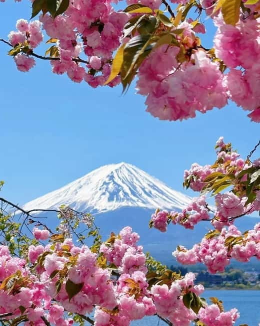 [Seasonal Limited] Mt. Fuji 5th Station &Hot Spring Day Tour - How much value do you get for $50?