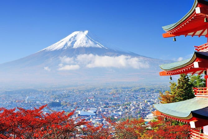 Seasonal Mt. Fuji Scenic Views, Fruit Picking and Ropeway Ride! - The Mount Fuji 5th Station visit