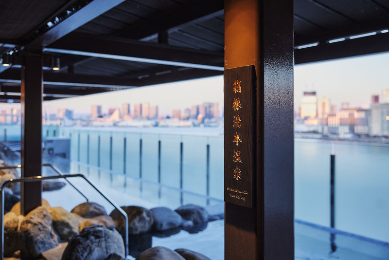 Senkyaku Banrai Toyosu Manyo Club Onsen Experience in Tokyo - Should you book Toyosu Manyo Club?