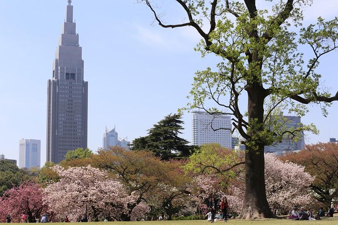 Shared Departure Transfer : Central Tokyo Hotel to Haneda Airport - The price and the value of avoiding train changes