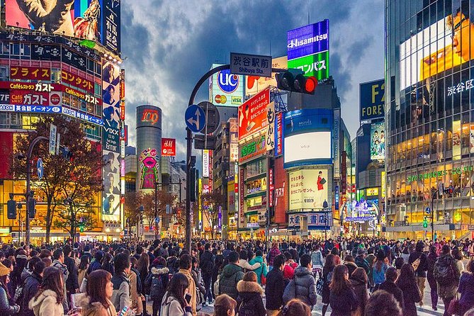 Shibuya All You Can Eat Best Food Tour The Original One in Tokyo - The food: a full Japanese sampler