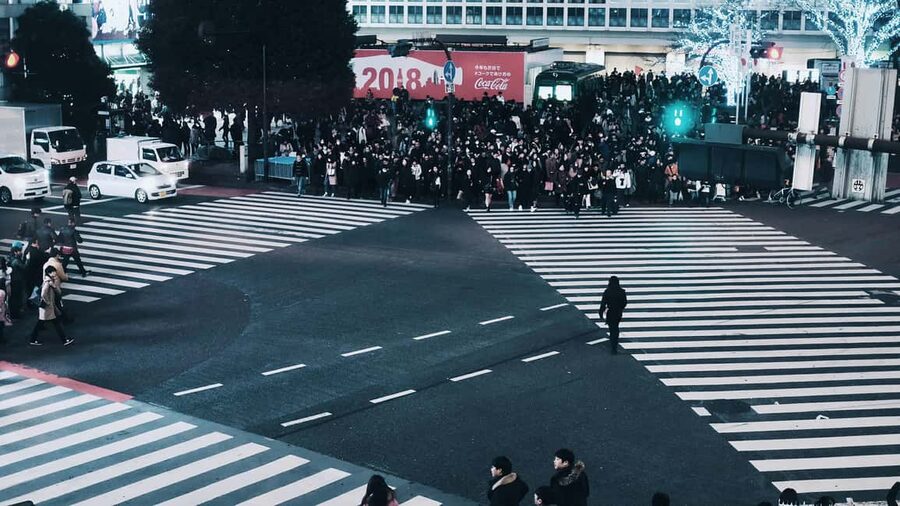 Shibuya: Crossing, Hachiko & Shibuya Sky Guided Tour - Shibuya Sky and Tokyo from above