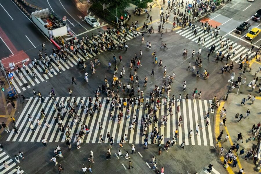 Shibuya & Harajuku: Hidden Gems & Highlights Private Tour - Food stops are small but useful