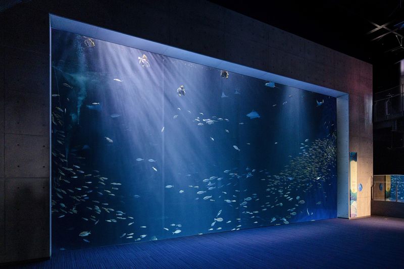 Shikoku Aquarium Ticket - How long to stay, and when to go
