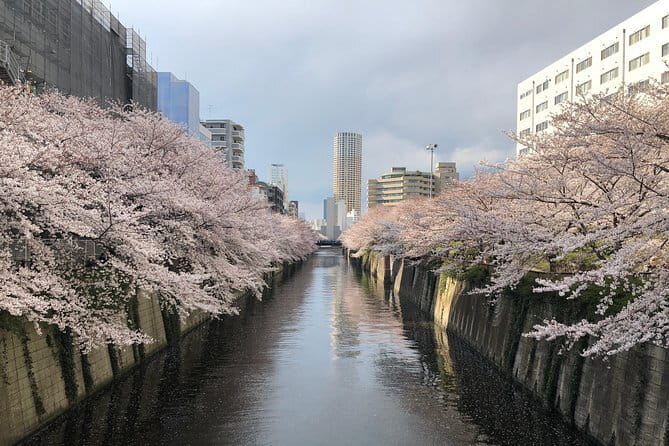 Shinjuku: Food Tour – 15 Dishes & 3 Drinks at 4 Eateries - Golden Gai: Tiny bars and a social finish