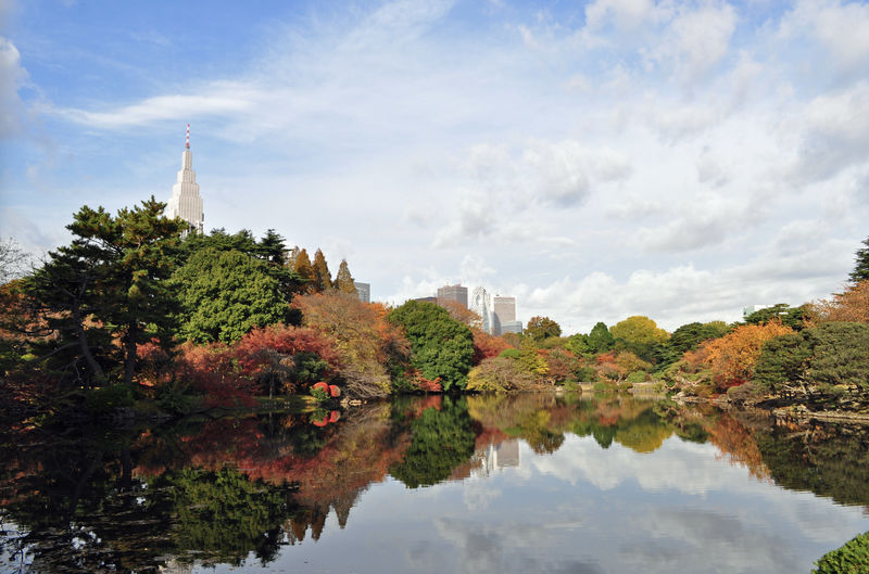 Shinjuku Gyoen Ticket in Tokyo - What makes a visit worthwhile
