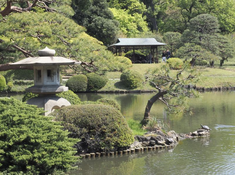 Shinjuku Gyoen Ticket in Tokyo - Greenhouse, historic buildings, and a cafe break