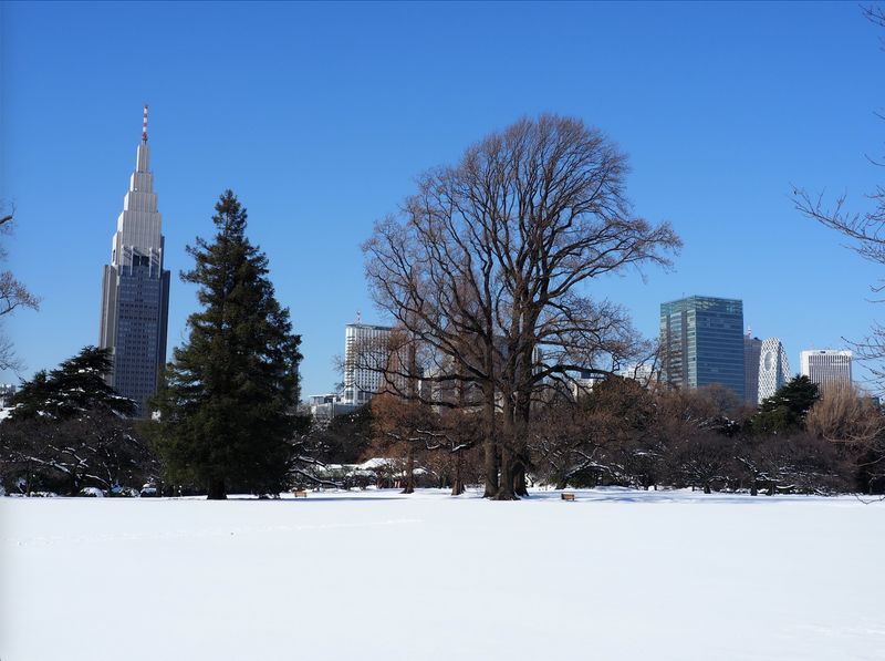 Shinjuku Gyoen Ticket in Tokyo - Ticket value and the practical rules