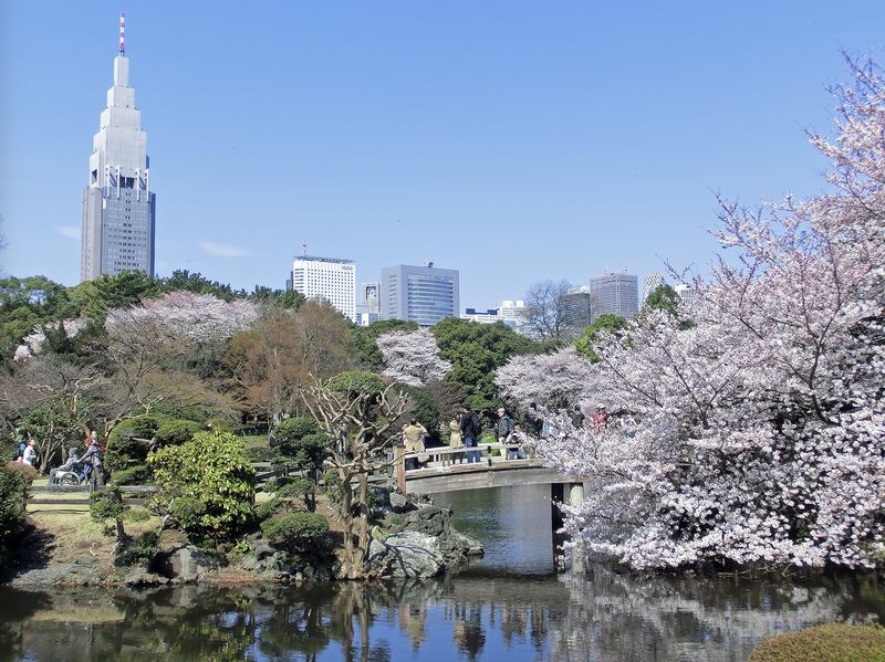 Shinjuku Gyoen Ticket in Tokyo - Is Shinjuku Gyoen the right Tokyo stop for you?