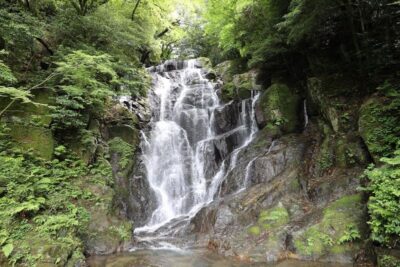 Shiraito Falls & Forest Cafe & Handmade Flower Salt Pudding & Grilled Seafood & Totoro Forest & Sakurai Futamigaura & Angel’s Wings & Coconut Tree Swing Day Tour (Departing from Hakata Station, with Mandarin, English, and Cantonese speaking guide)