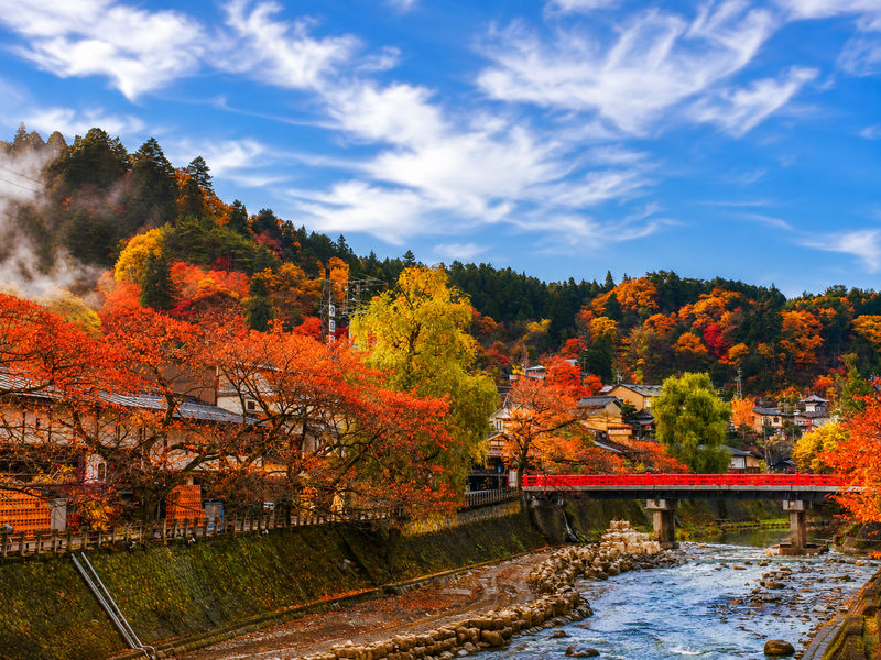 Shirakawa-go & Takayama Old Town Day Tour (Optional Hida Beef Lunch) - What the bus day feels like