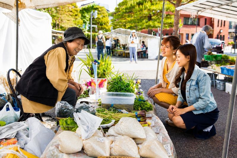 Shirakawa-go & Takayama Old Town Day Tour (Optional Hida Beef Lunch) - Who should book this day trip?