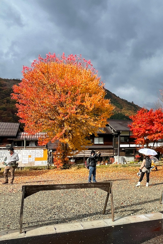 Shirakawa-go UNESCO Half-Day Tour from Takayama - Should you book the Shirakawa-go tour?