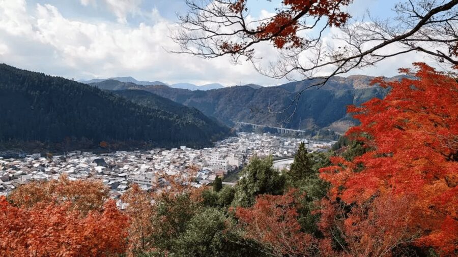 Shirakawago&HidaTakayama&GujoHachiman 1 Day Tour from Nagoya - Is $61 a good price?