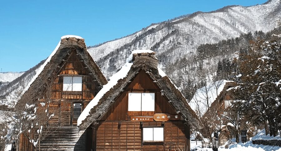 Shirakawago&HidaTakayama&GujoHachiman 1 Day Tour from Nagoya - Who will enjoy this day trip most?