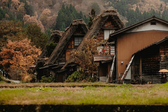 Shirakawago & Kanazawa from Kanazawa - Key points to know before booking