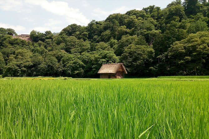 Shirakawago & Kanazawa from Kanazawa - What makes Shirakawago worth the journey