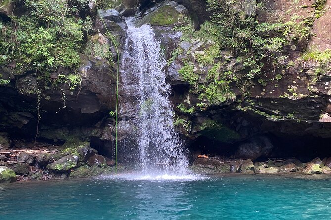 Shizuoka: Advanced Canyoning Activity near Mt. Fuji - Water chutes, pools, and the swimming sections