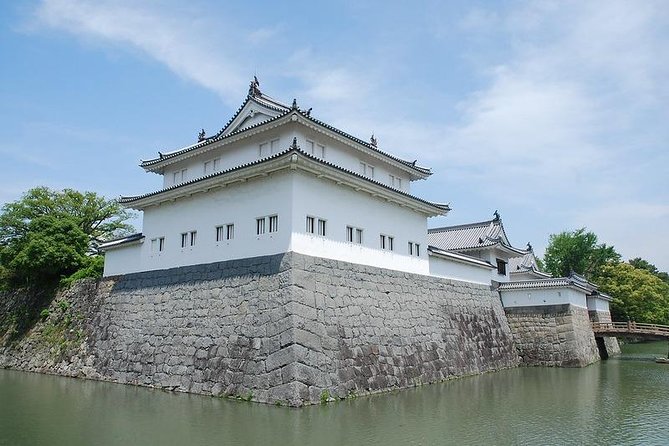 Shizuoka/Shimizu Mt Fuji View 6 hr Private Tour: Guide Only - What this private Shizuoka day really offers