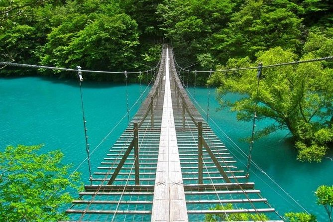 Shizuoka/Shimizu Mt Fuji View 6 hr Private Tour: Guide Only - Nihondaira Parkway and the best high view