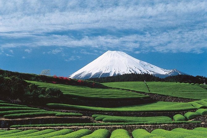 Shizuoka/Shimizu Mt Fuji View 6 hr Private Tour: Guide Only - Mt. Fuji World Heritage Centre and the mountain’s meaning