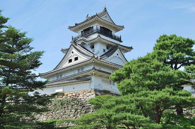 Shore Excursion Full Day Private Kochi Tour from Kochi port - Is the $490 group price good value?