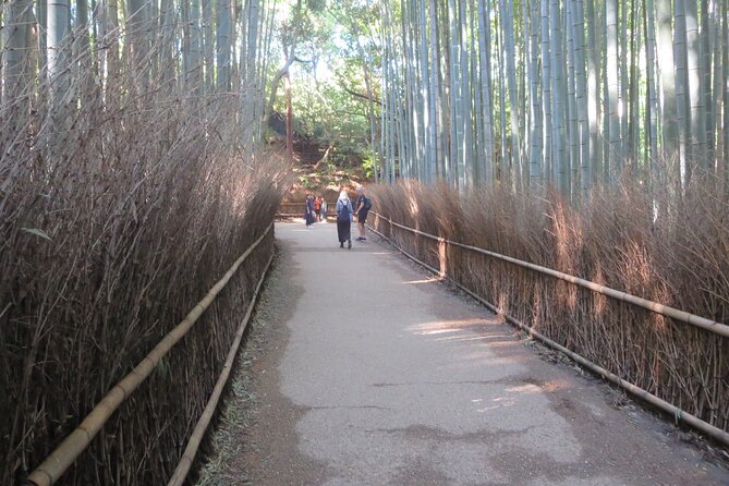 Shore excursion: Full Day Private Kyoto Tour From Osaka/Kobe Port - The return to Kobe or Osaka port