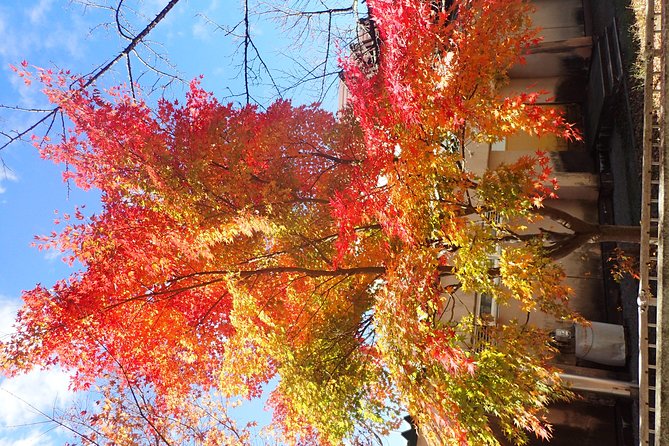 Short Morning Cycling Tour in Hida - Is $161.18 a fair price?