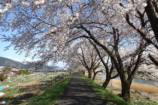 Short Morning Cycling Tour in Hida - Who will enjoy this Hida bike tour?