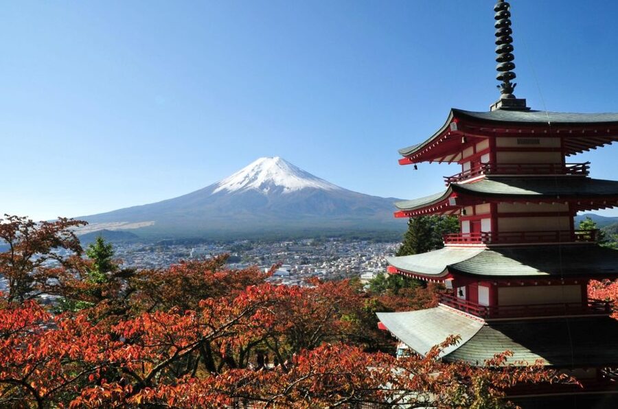 Sightseeing Day Trip to Mount Fuji and Hakone Green Number - Choosing between the two routes