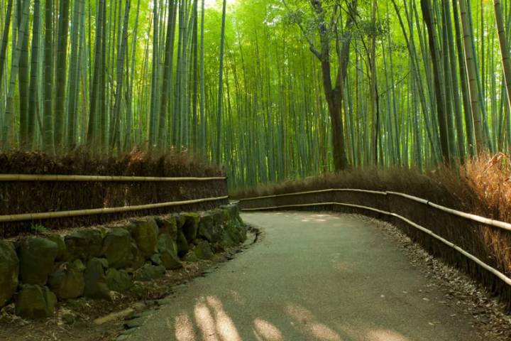 Simply Japan - FAQ