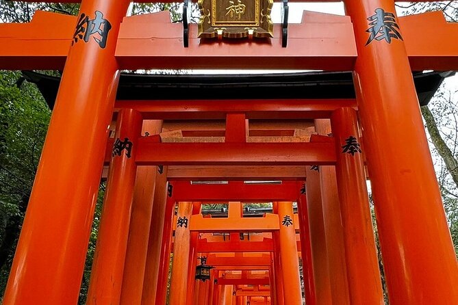 Single- & multi-day Adventures within Kyoto Nara Osaka Kobe - Key points to know before booking