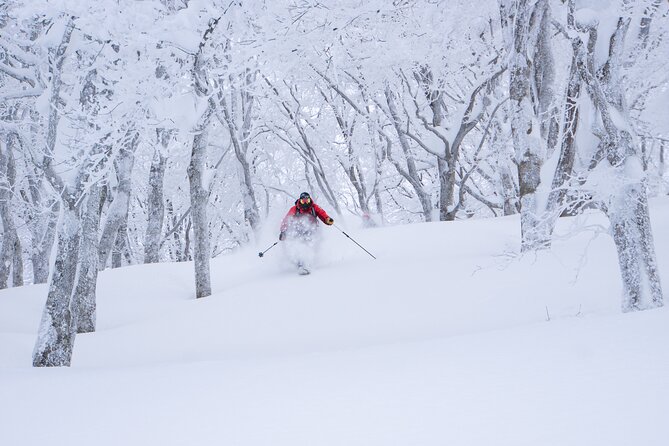 Ski or Snowboard Lesson in Shiga Kogen (4Hours) - What Four Hours at Shiga Kogen Can Do for You