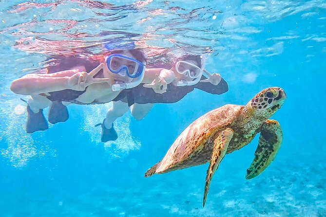 Snorkeling Activity in Okinawa Miyako Japan - Key points to know before booking