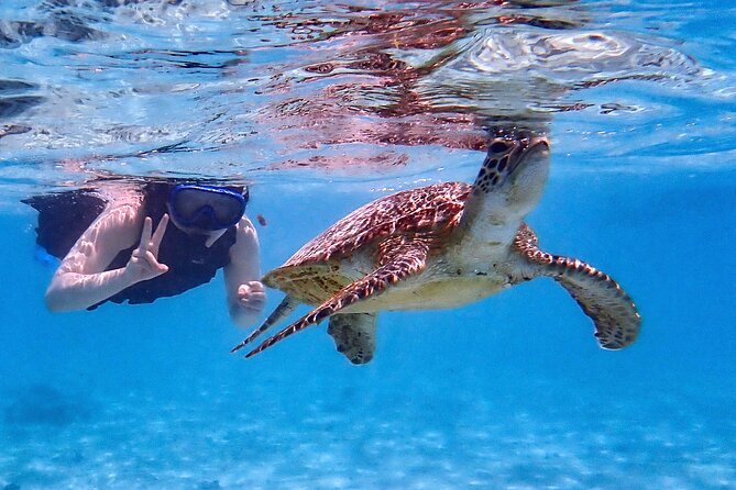 Snorkeling Activity in Okinawa Miyako Japan - Why Miyakojima is a good place for a short snorkeling tour