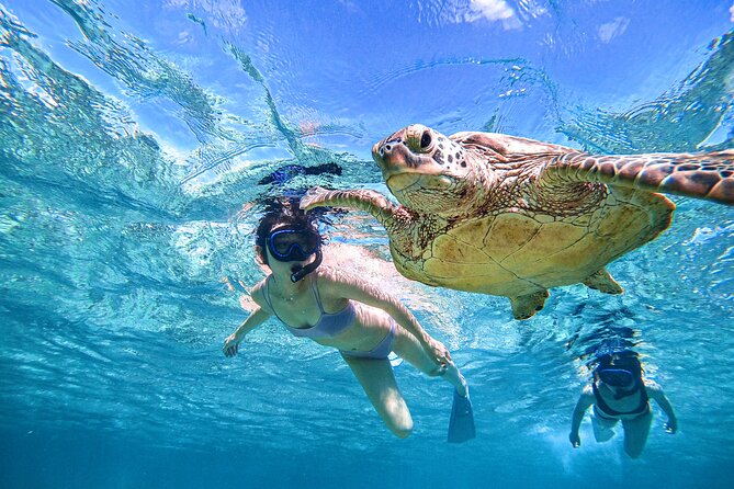 Snorkeling Activity in Okinawa Miyako Japan - The safety briefing and first hour in the water