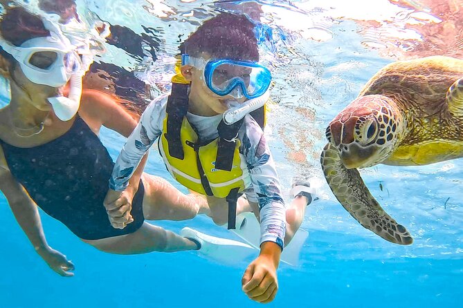 Snorkeling Activity in Okinawa Miyako Japan - Is $41 a fair price?