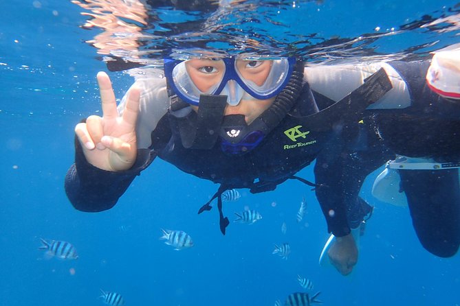 Snorkeling in the Blue Cave area【Okinawa Prefecture: Free feeding & photo images!English and Chinese speaking guide available! - Free GoPro images are a real part of the value